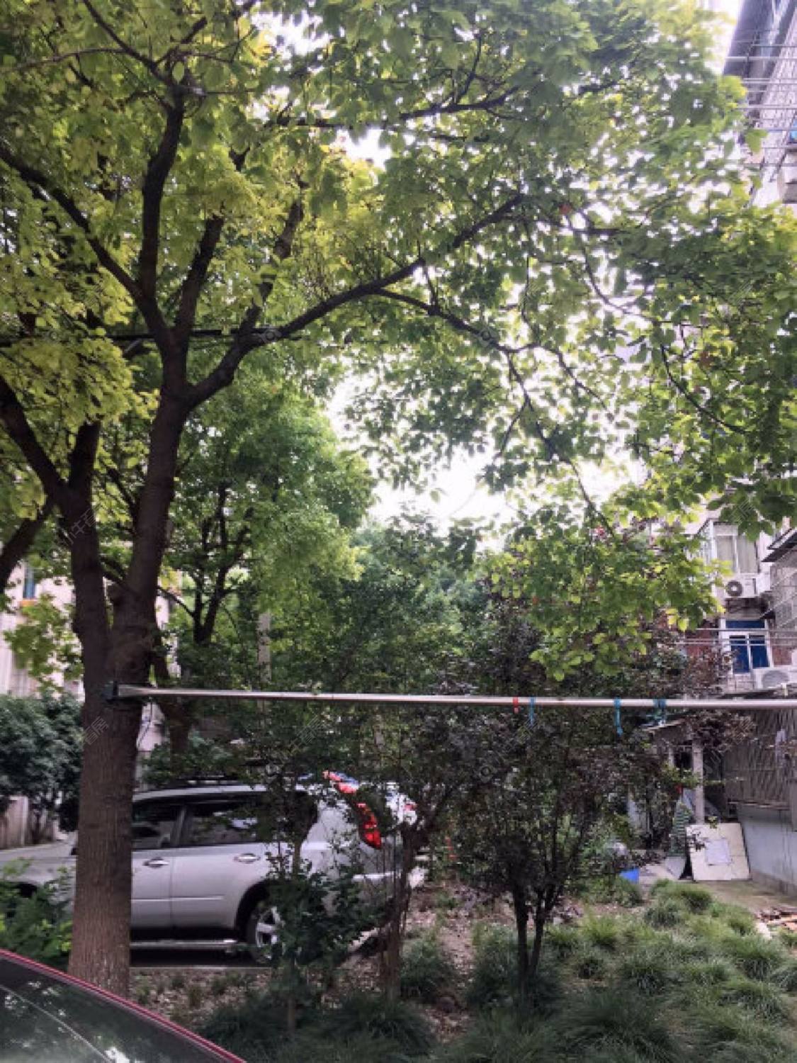 上海宝山一村小区_宝山一村小区null