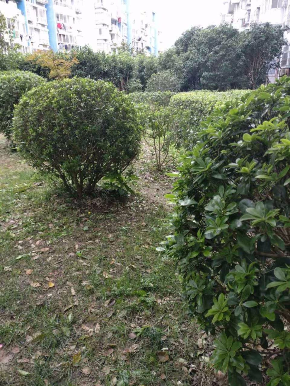 上海兴东佳苑一期小区_兴东佳苑一期小区null