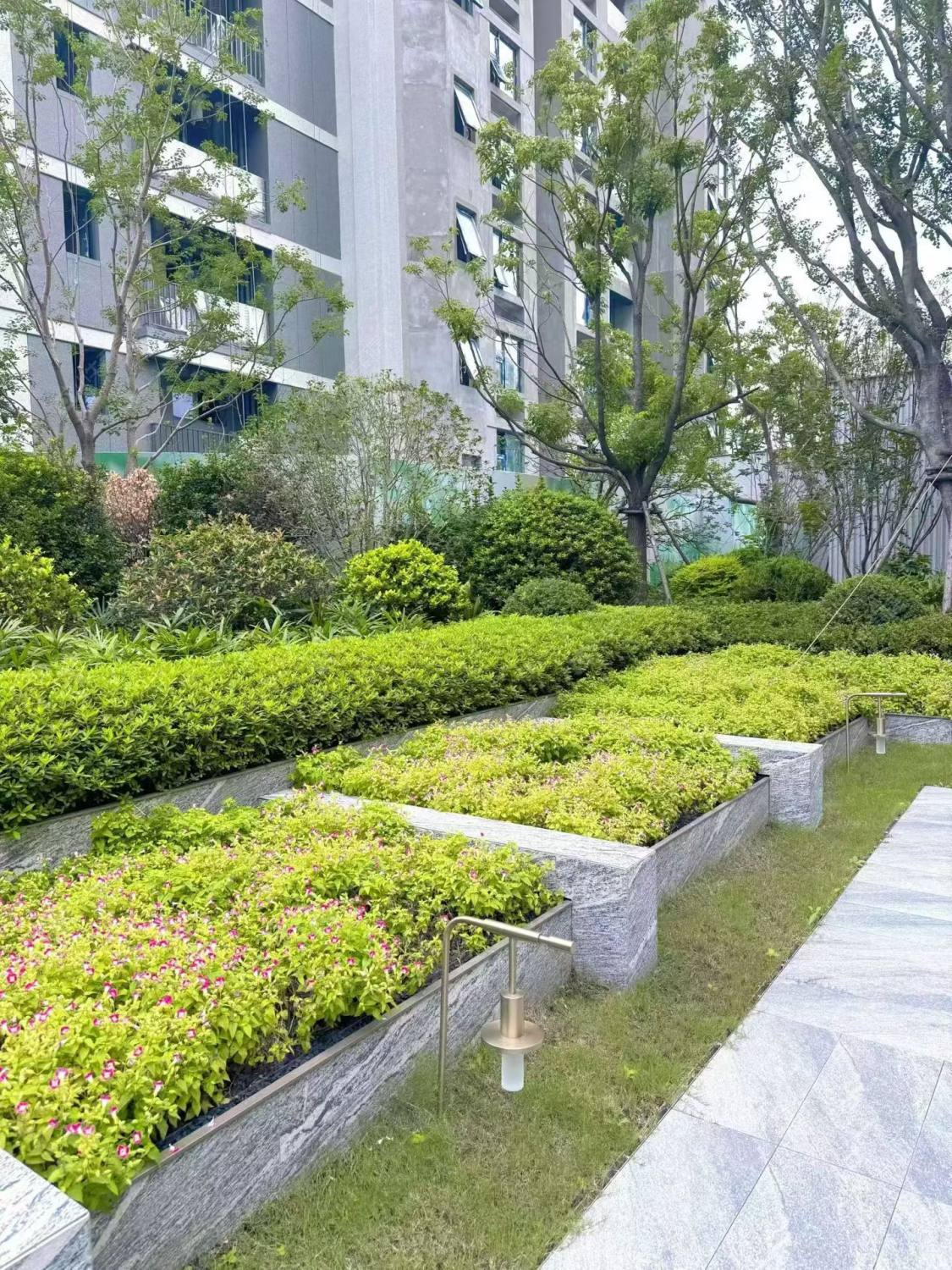 上海华发虹桥四季在售新楼盘null