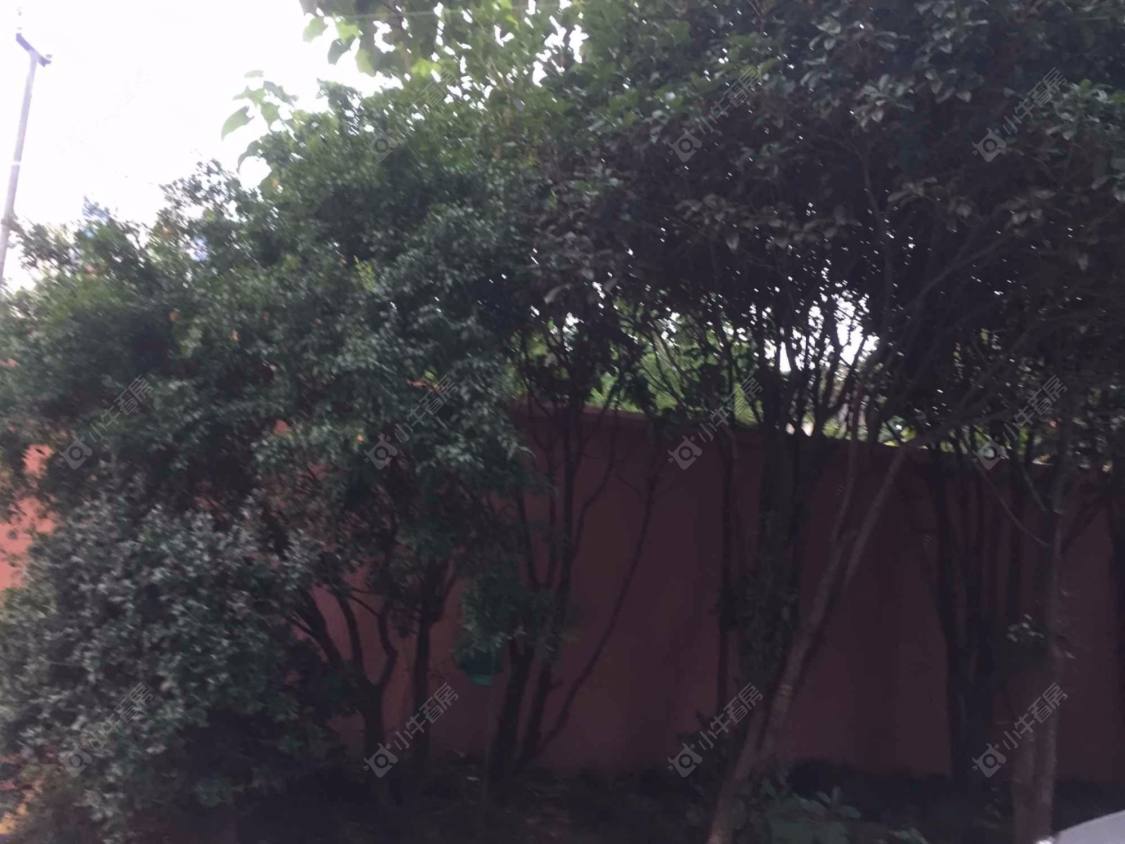 上海中鸿大厦小区_中鸿大厦小区null