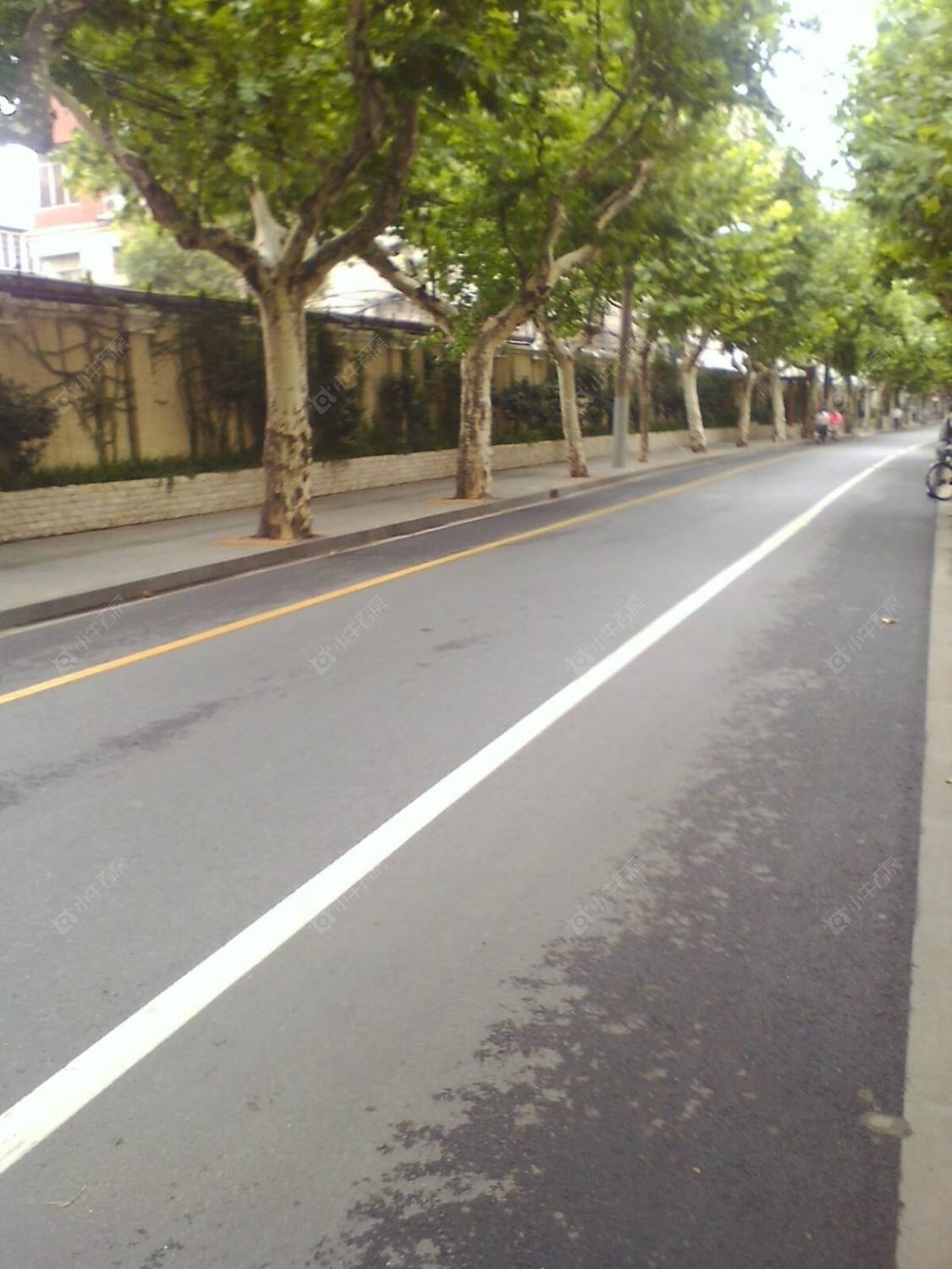 上海永康路142弄小区_永康路142弄小区null