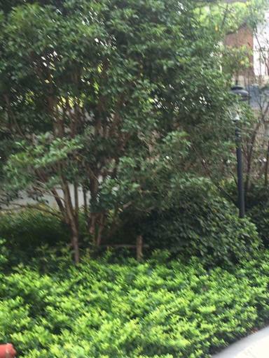 上海海珀星晖新房_小牛看房