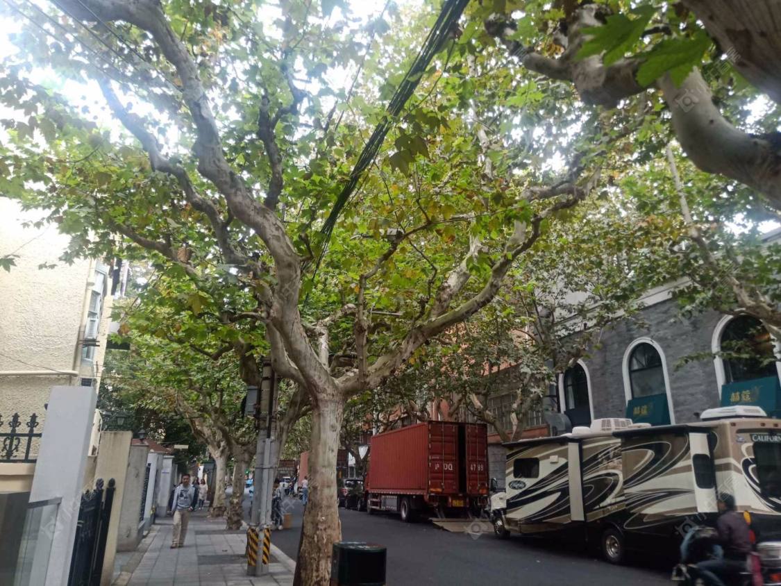 上海虹口新康里东区小区_小牛看房