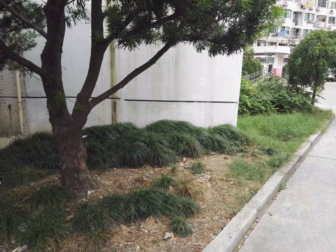 上海广安小区小区_广安小区小区null