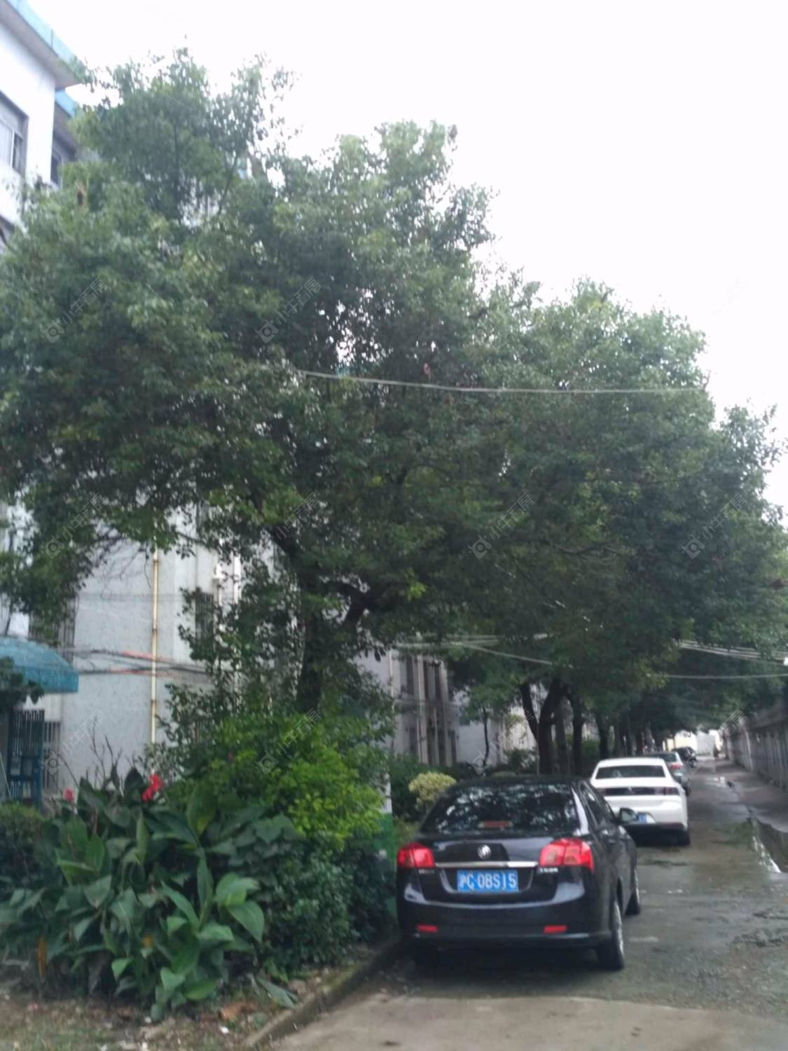 上海浦银一村小区_浦银一村小区null