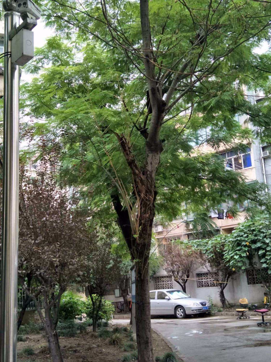 辽源三村封面图_小牛看房