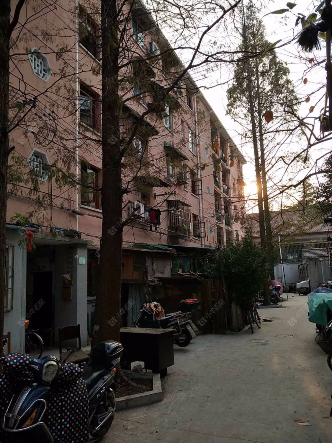 上海丹徒路233弄小区_丹徒路233弄小区null