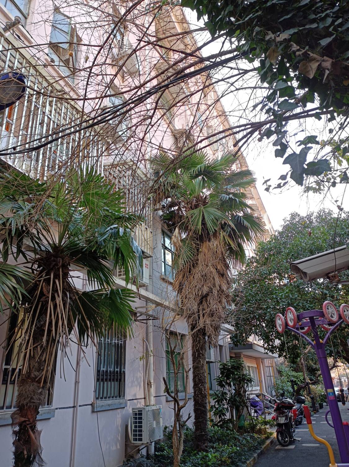 上海肇周路417号小区_肇周路417号小区null