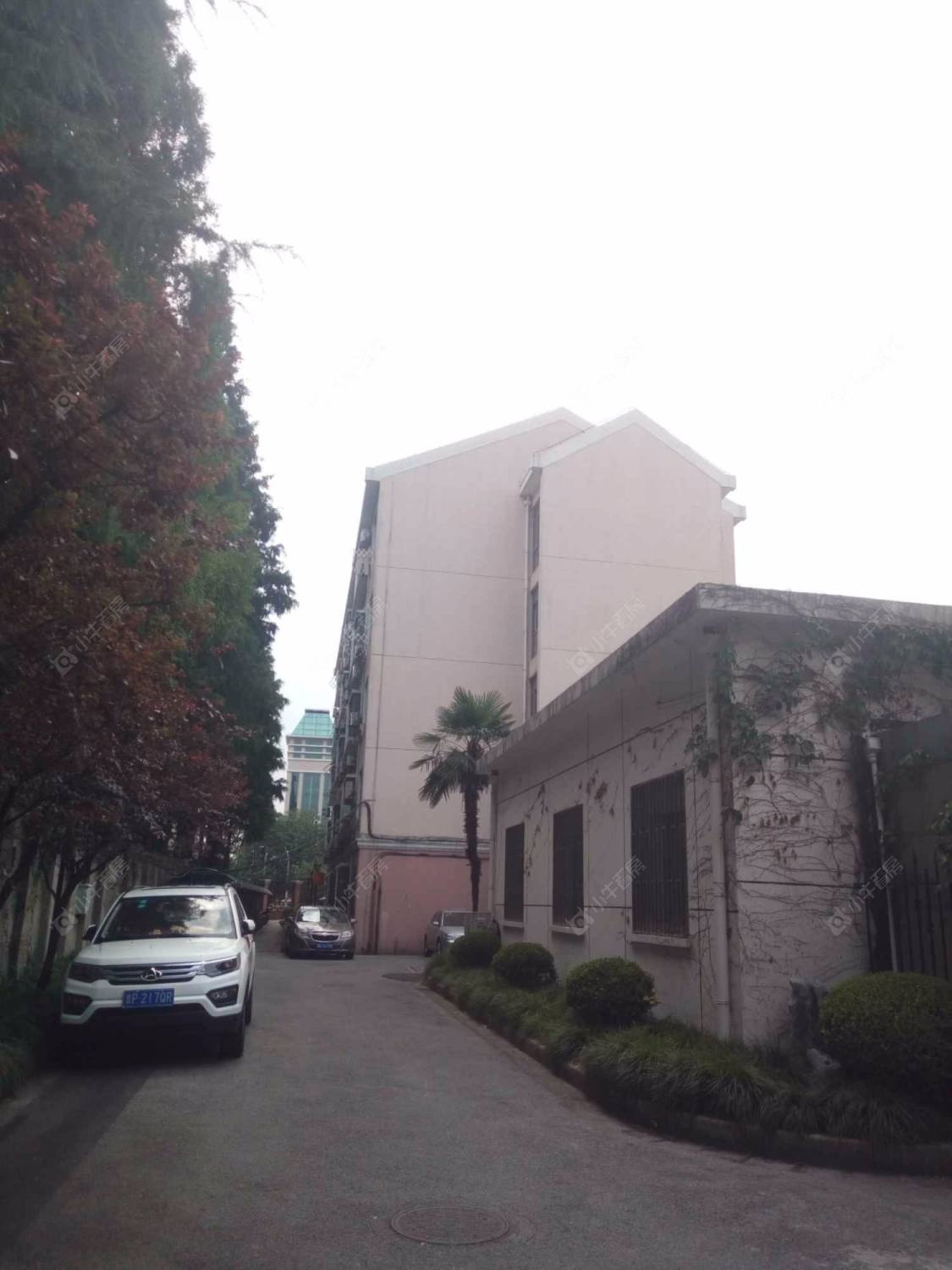 上海复旦教师公寓小区_复旦教师公寓小区null