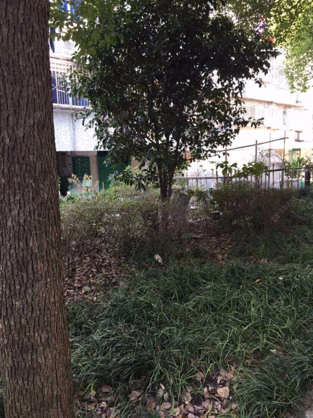 上海城南新村(嘉定)小区_城南新村(嘉定)小区null