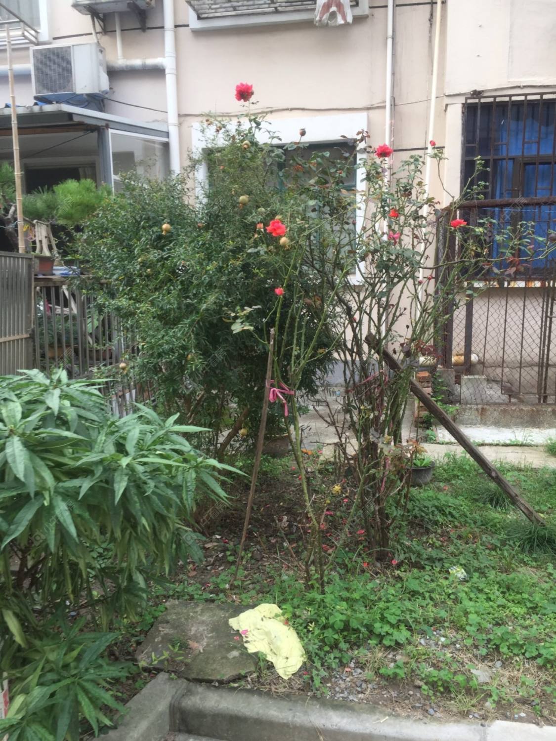 上海莘西路156弄小区_莘西路156弄小区null