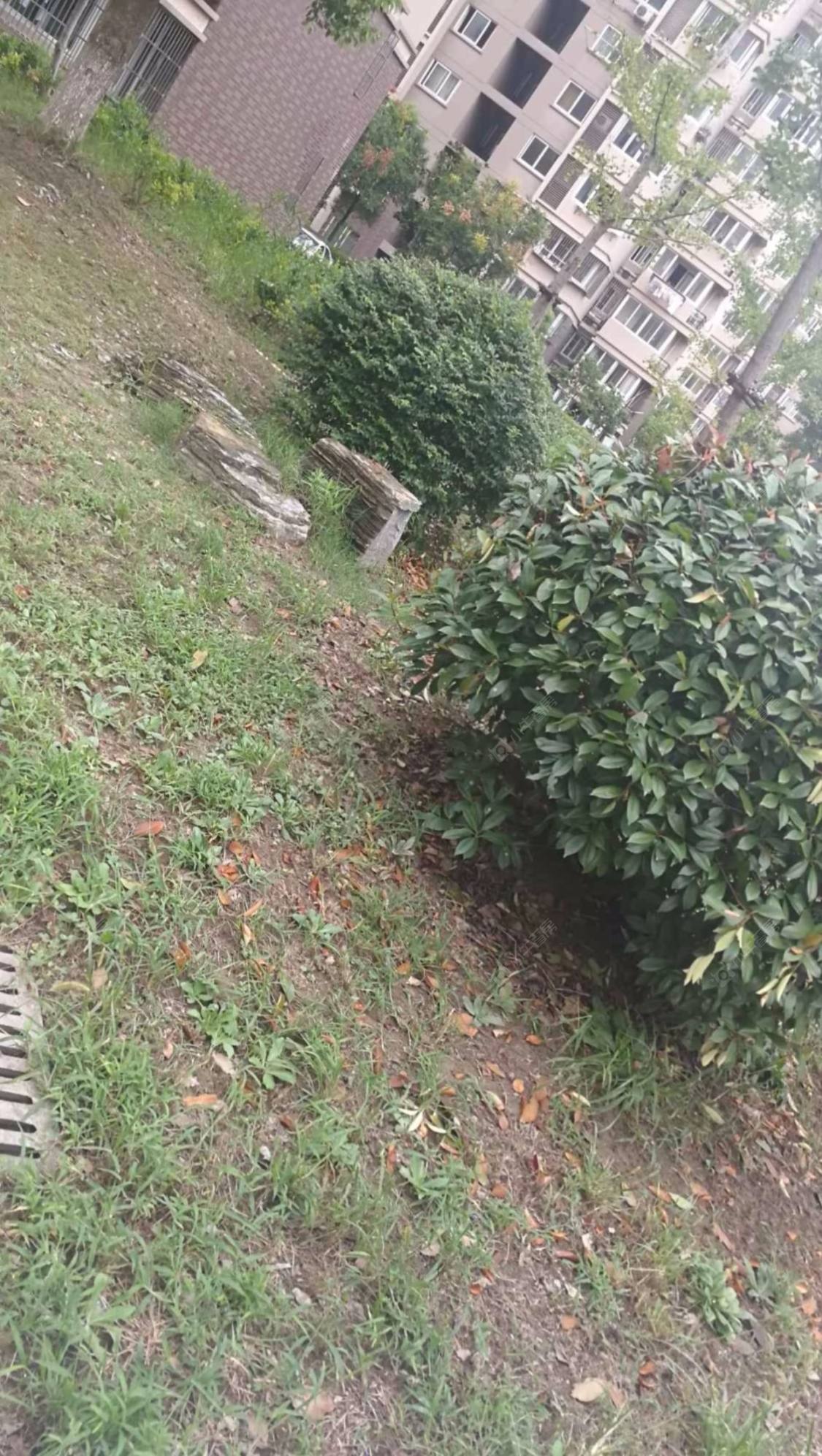 上海聚缘北庭小区_聚缘北庭小区null