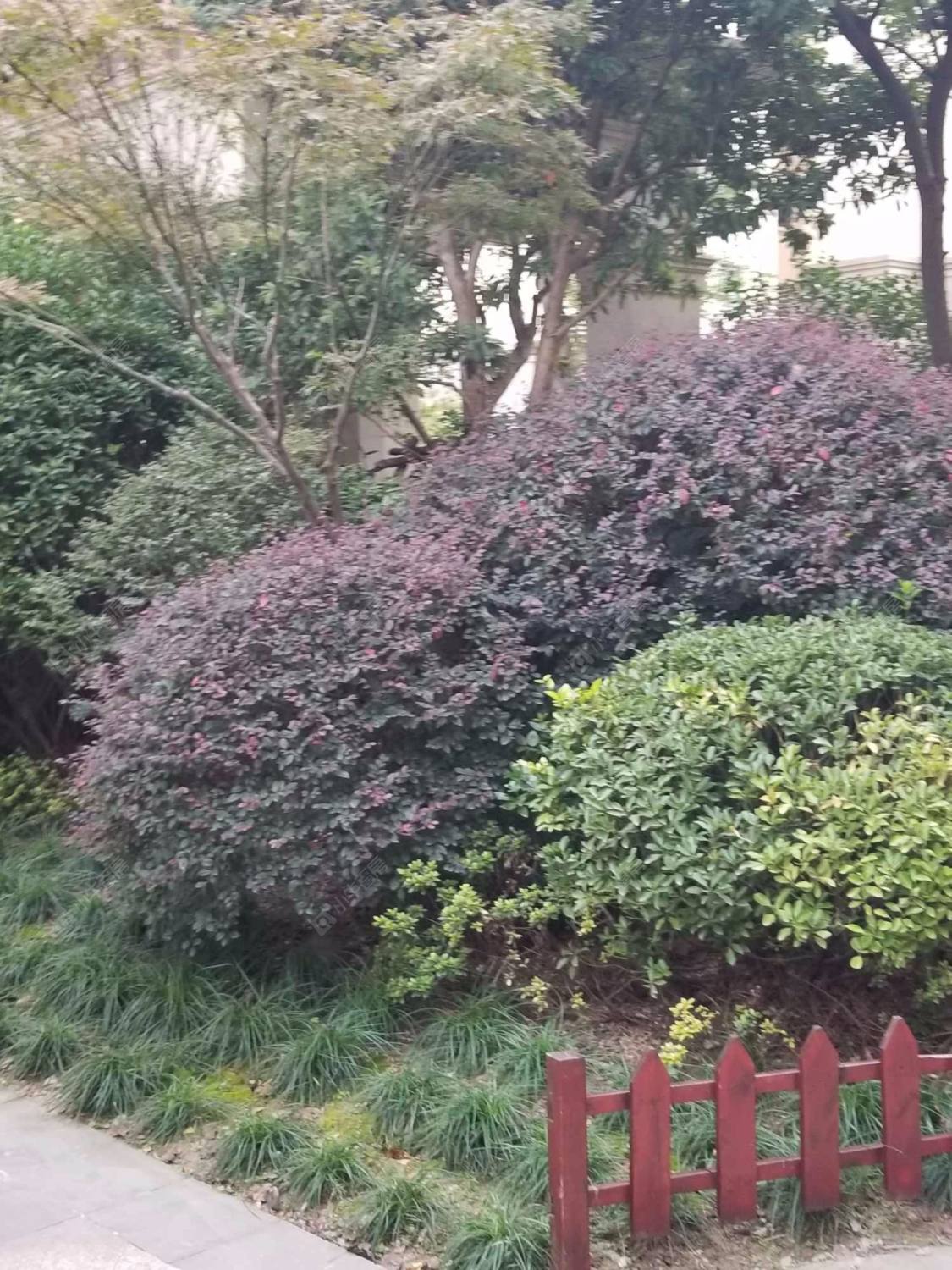 上海佳兆业1号小区_佳兆业1号小区null