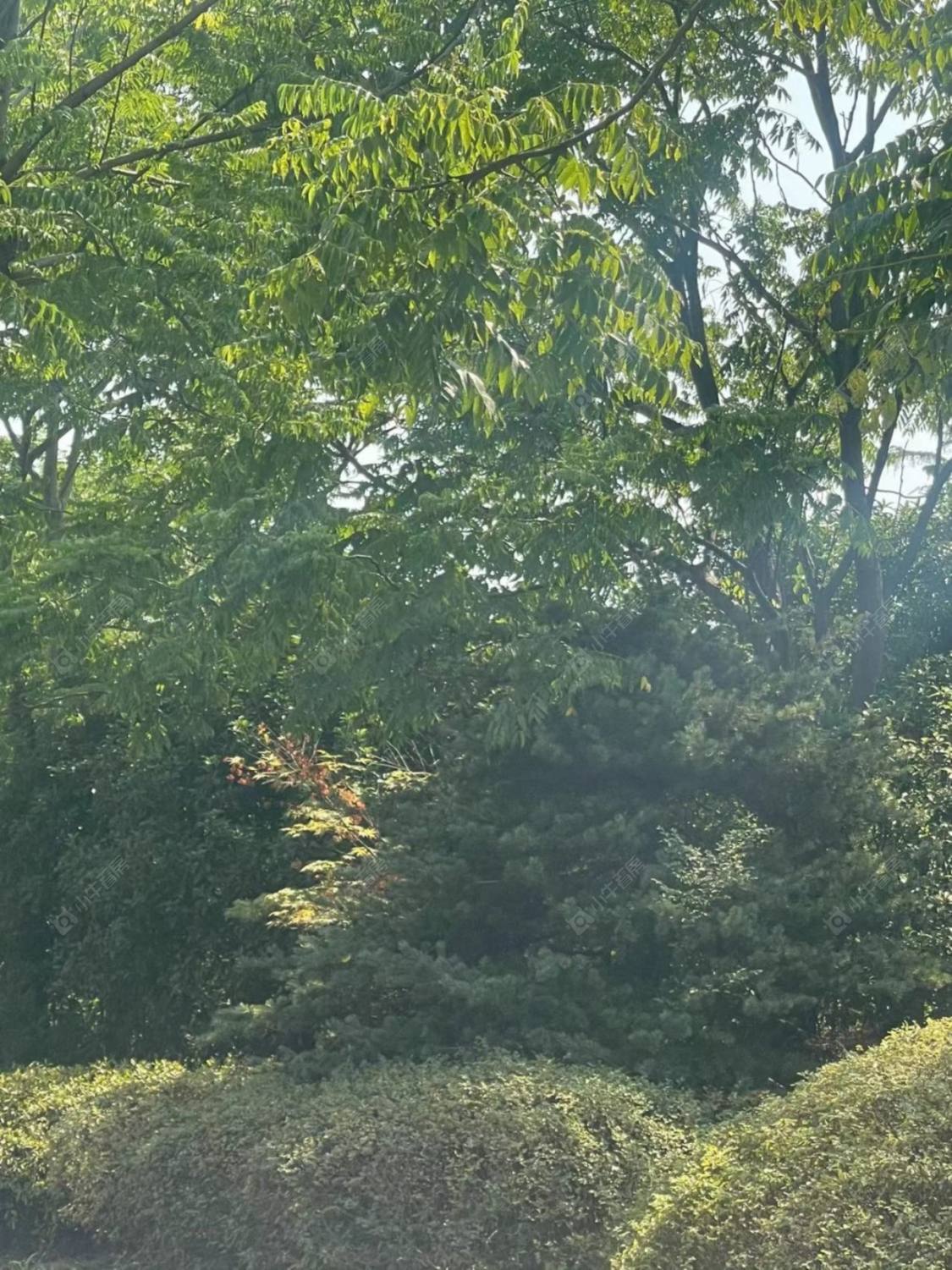 上海天鸿苑小区_天鸿苑小区null