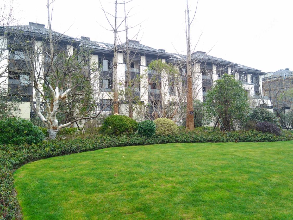 上海上海檀香湾小区_上海檀香湾小区null