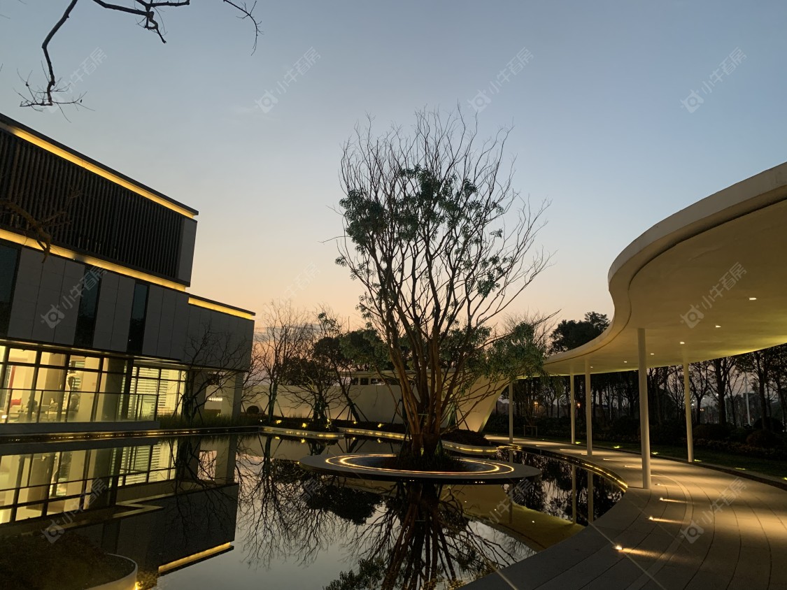 上海路劲象屿岛上的院子小区_路劲象屿岛上的院子小区null