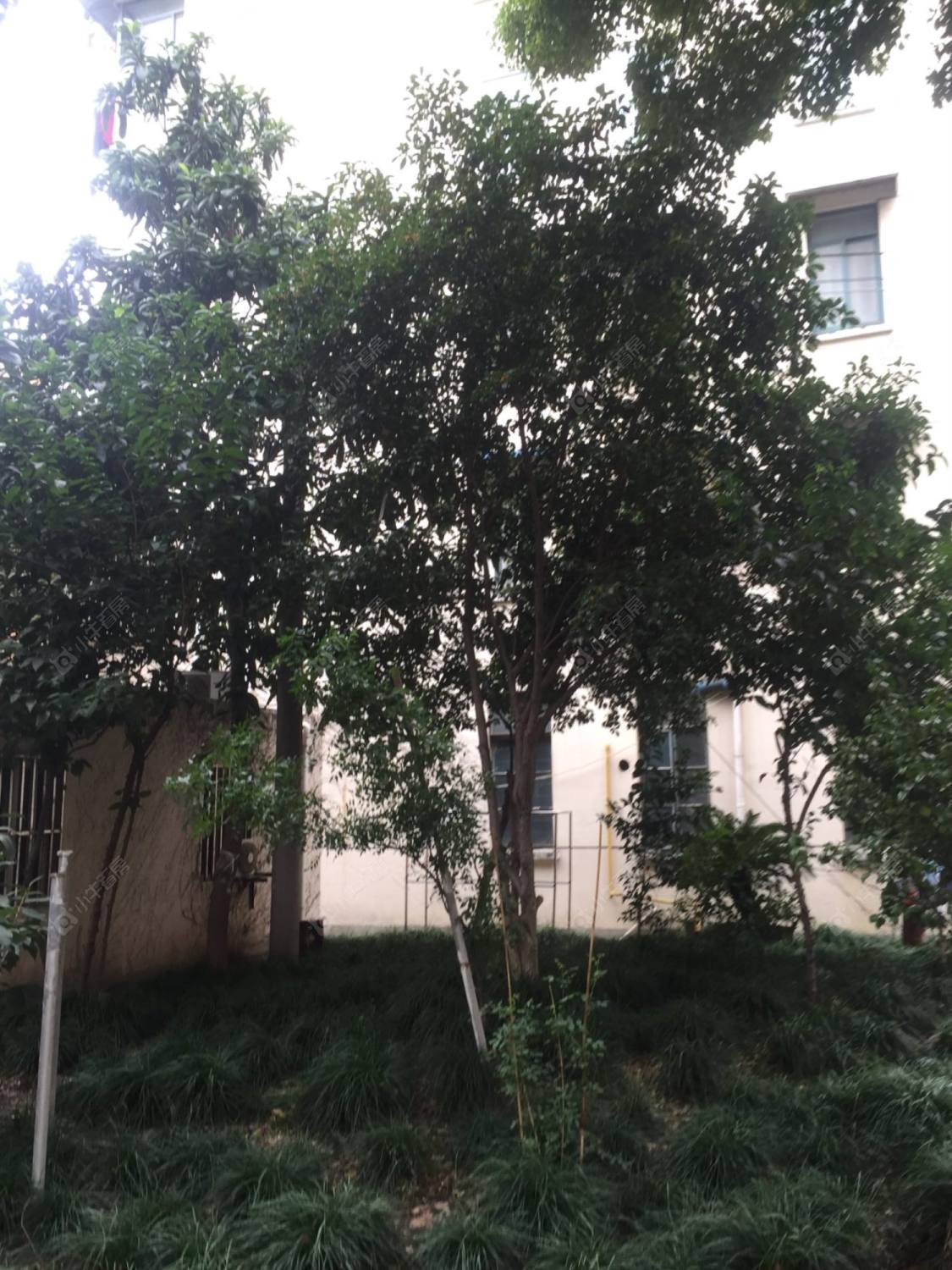 上海莘沥路188弄小区_莘沥路188弄小区null