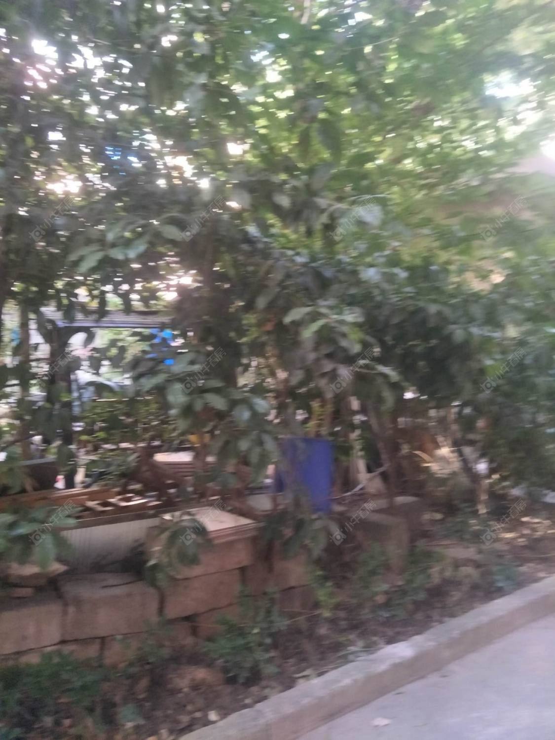 上海中山北一路310弄小区_中山北一路310弄小区null