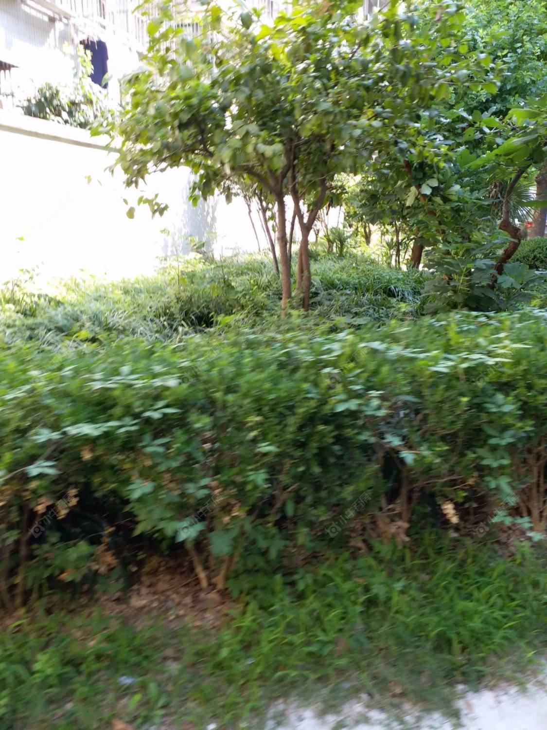 上海眉州坊小区_眉州坊小区null