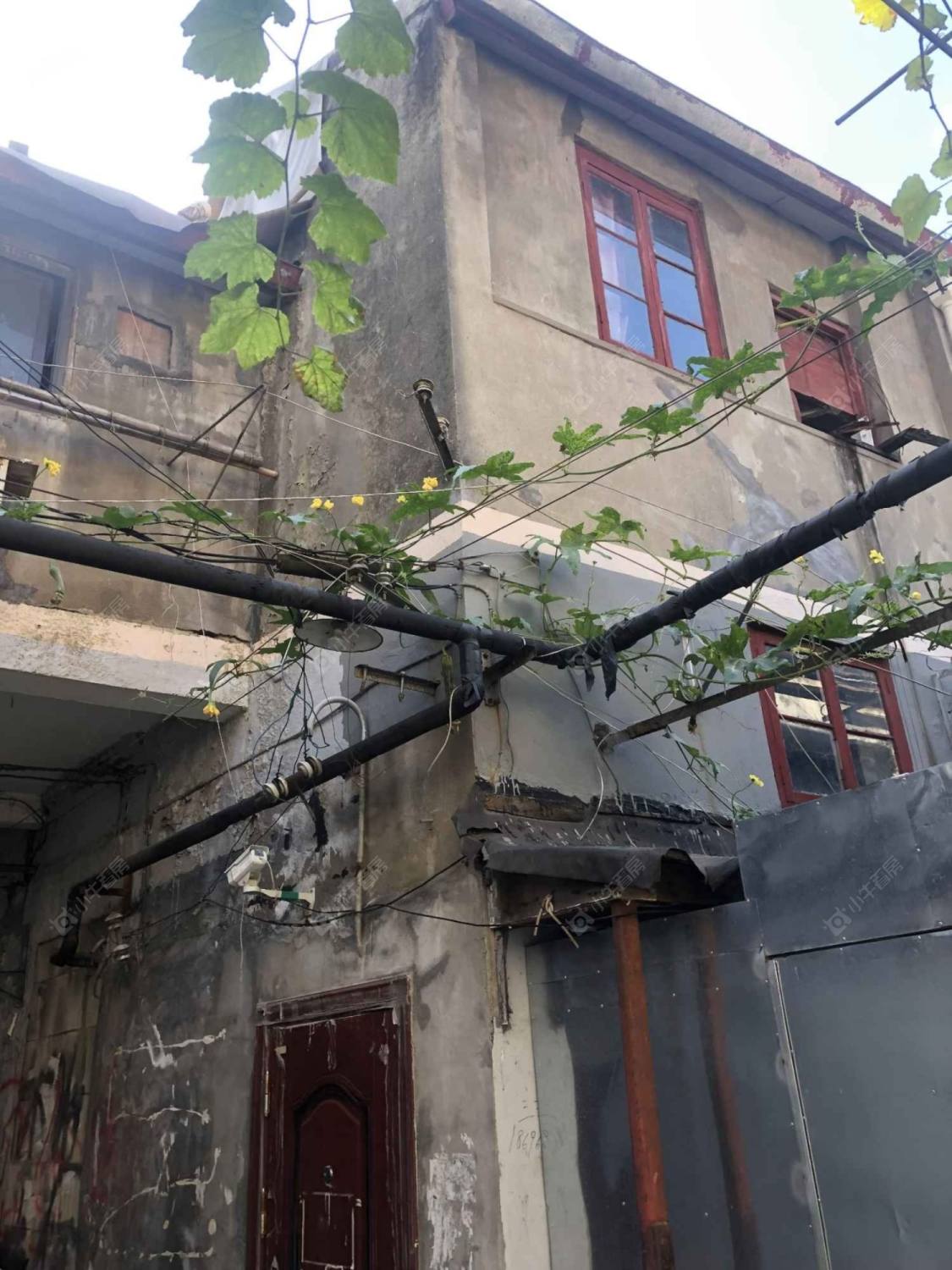 上海来安里总街小区_来安里总街小区null