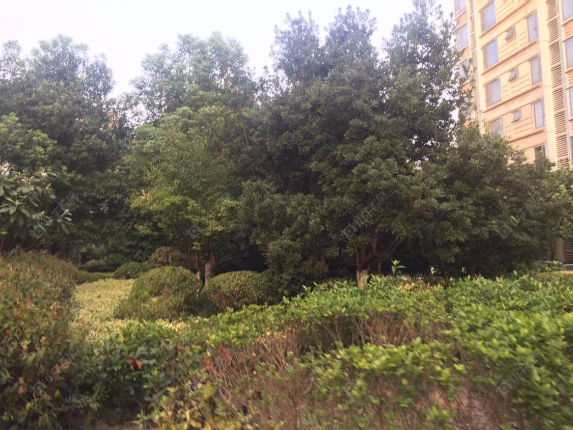 上海万科四季花城211弄小区_万科四季花城211弄小区null