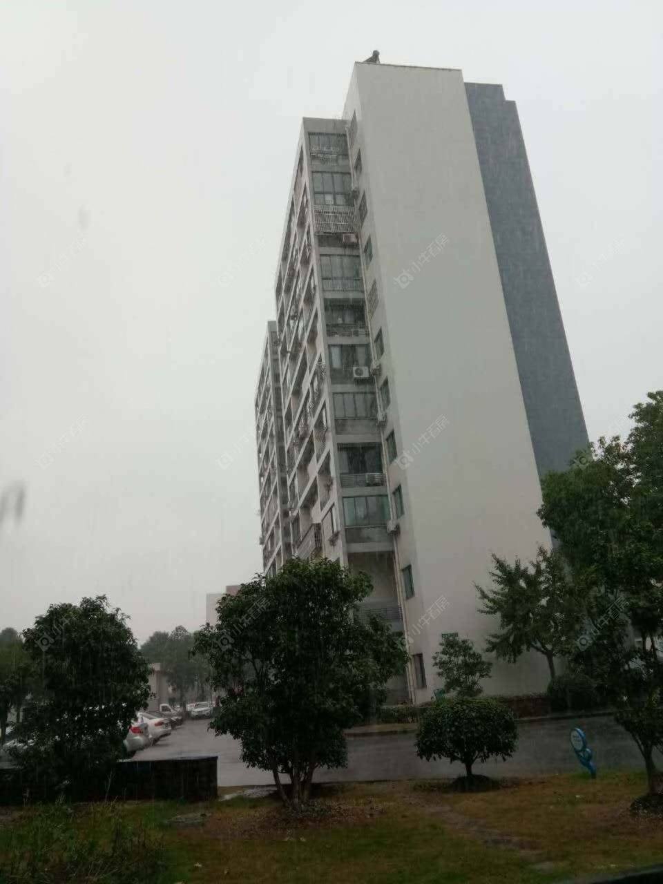 上海清风丽苑小区_清风丽苑小区null