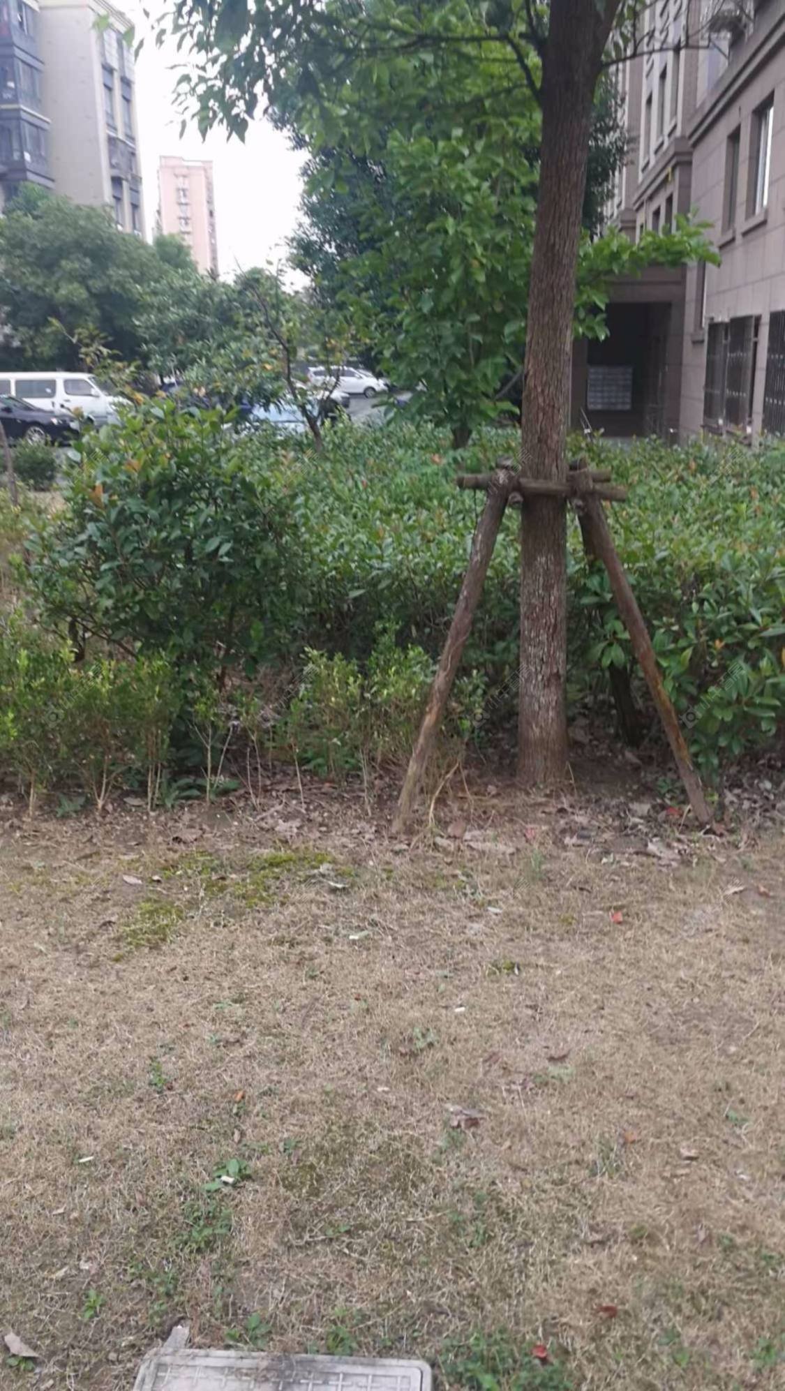 浦润苑封面图_小牛看房