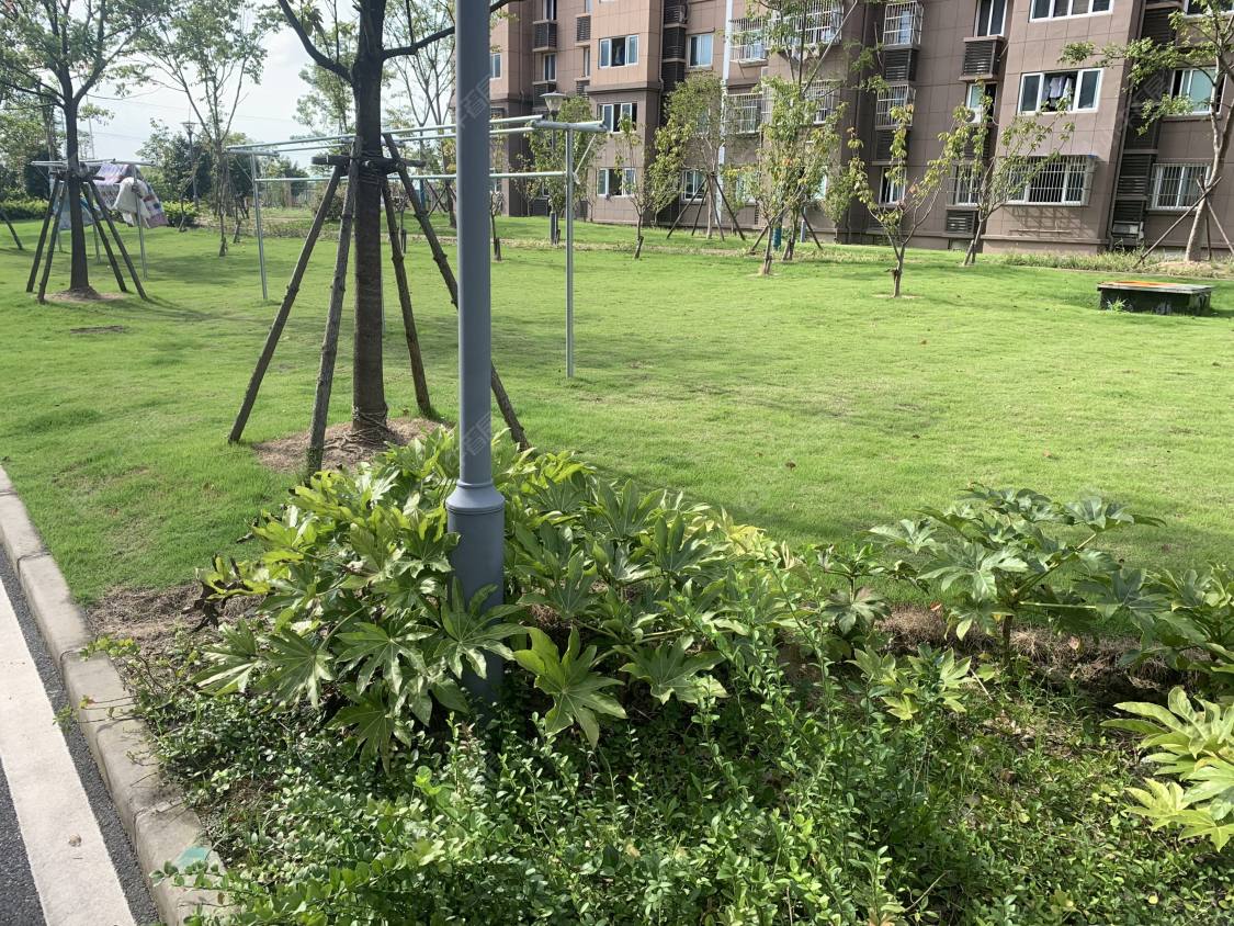 上海罗宁欣苑小区_罗宁欣苑小区null
