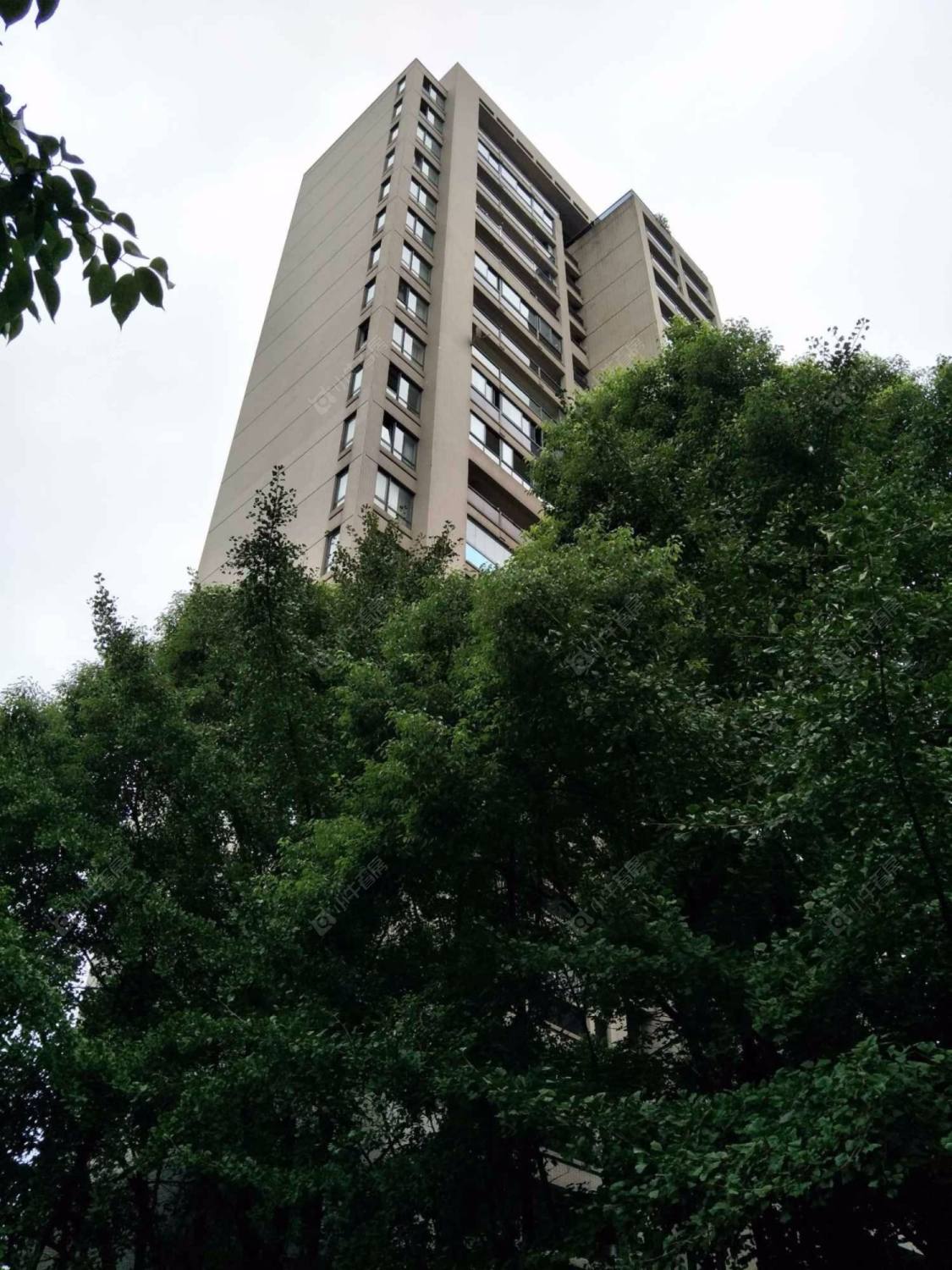 海上海封面图_小牛看房