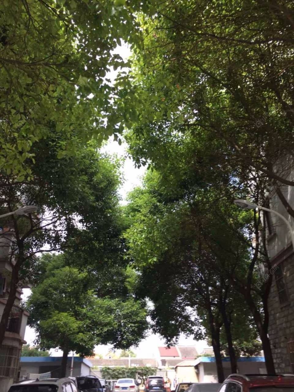 上海龙悦小区一区小区_龙悦小区一区小区null