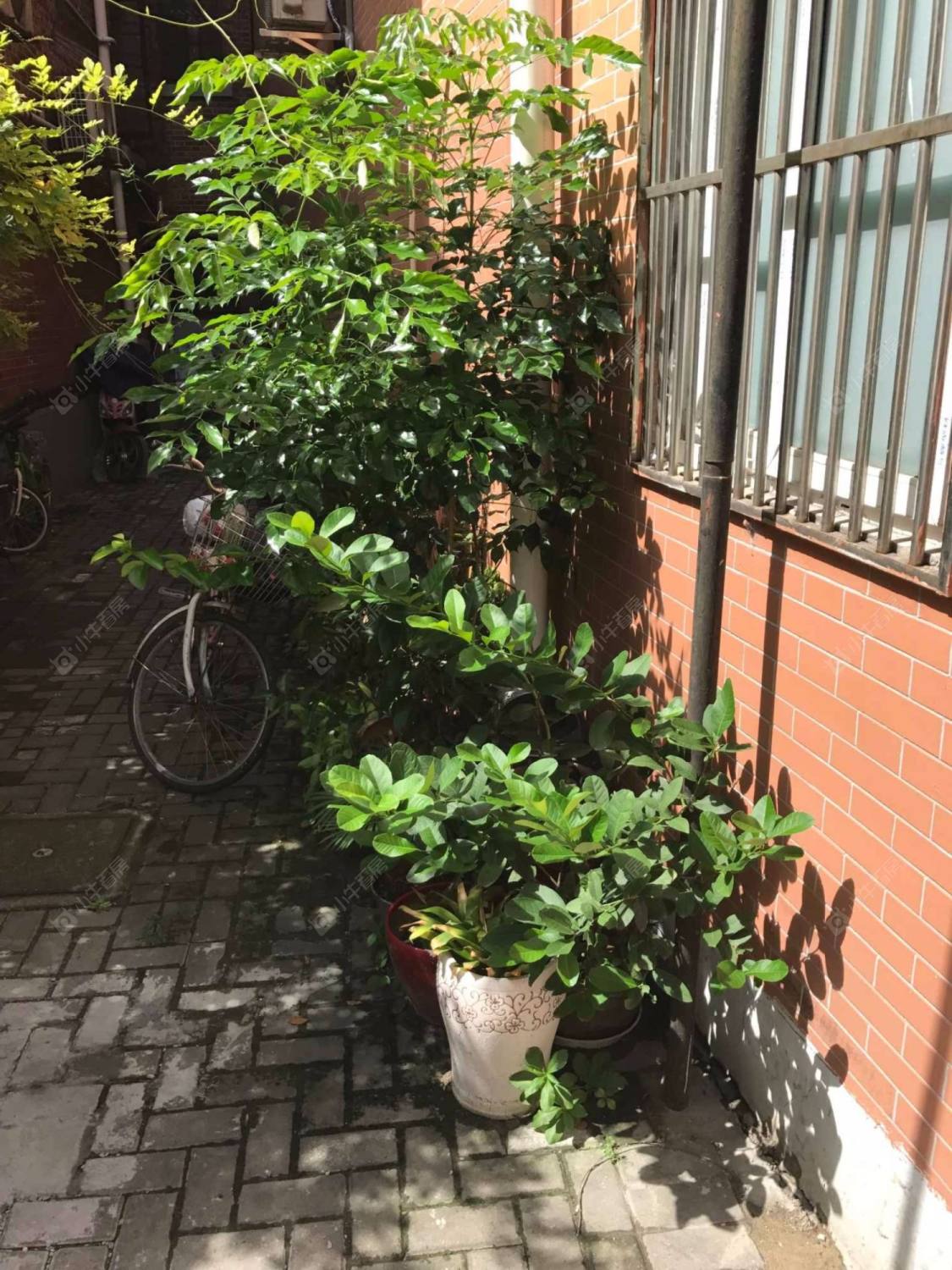 上海武定路916弄小区_武定路916弄小区null