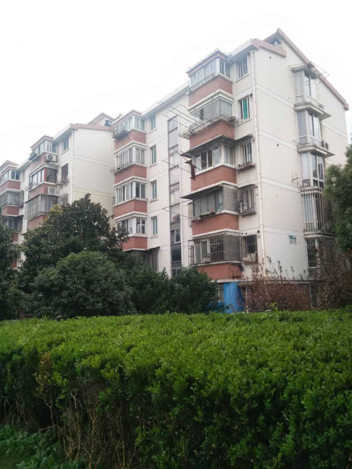 上海普陀金鼎公寓小区_普陀金鼎公寓小区null