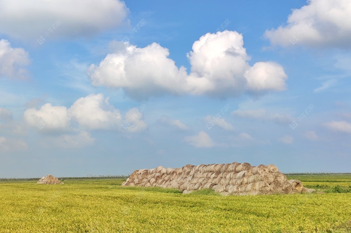 上海上实和风院小区_上实和风院小区null