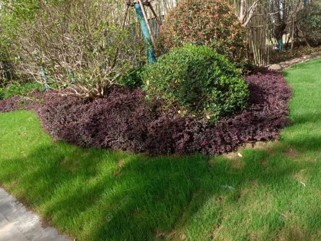 上海民乐城文竹苑北苑小区_民乐城文竹苑北苑小区null