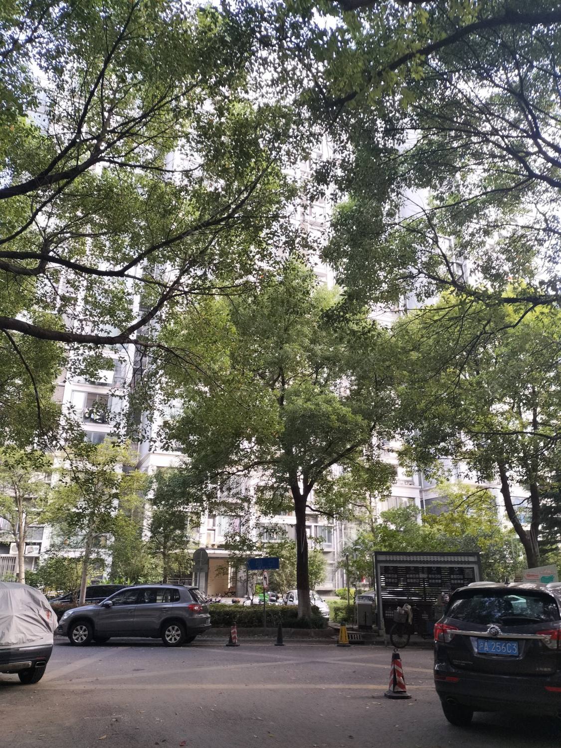 上海普陀民营科技企业总部大厦小区_普陀民营科技企业总部大厦小区null