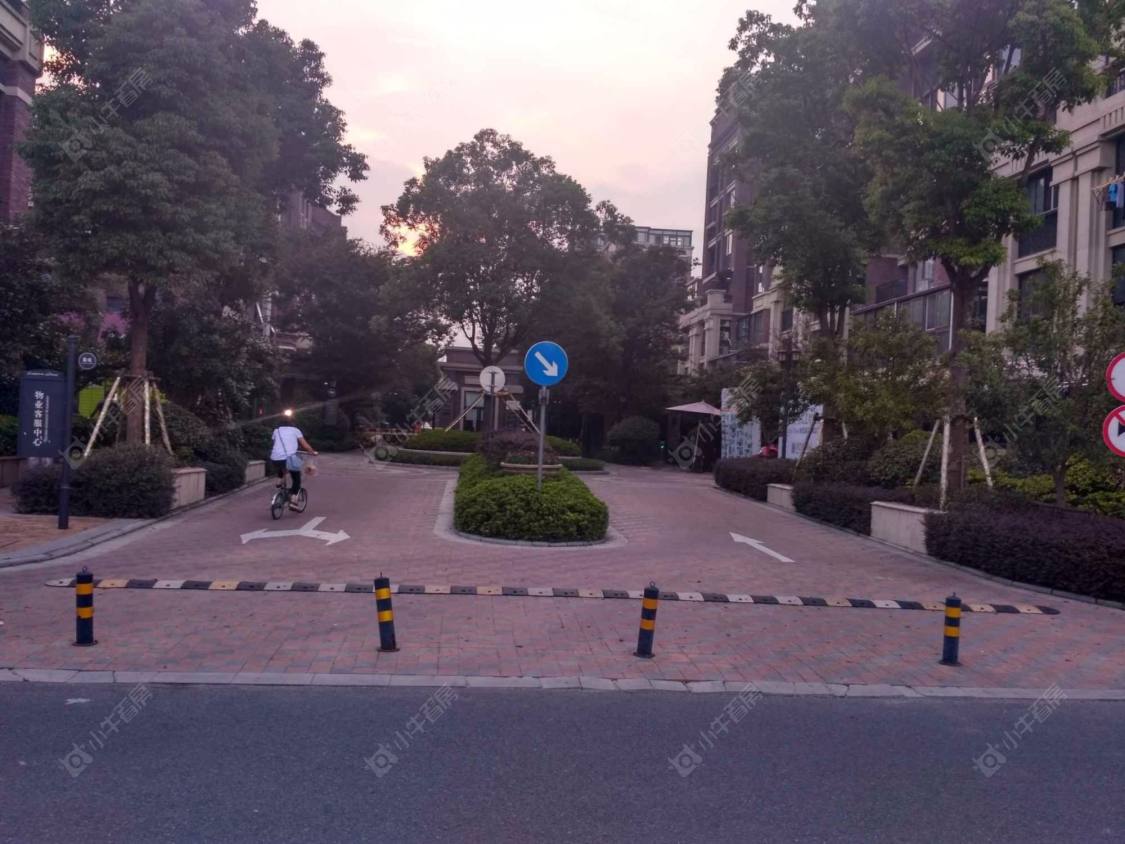 金地艺境(松江)封面图_小牛看房