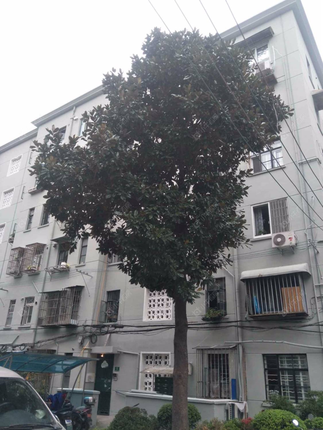 上海场中路1985弄小区_场中路1985弄小区null