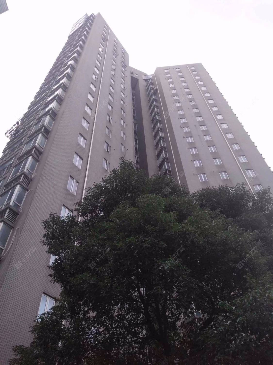 上海新湖云庭小区_新湖云庭小区null