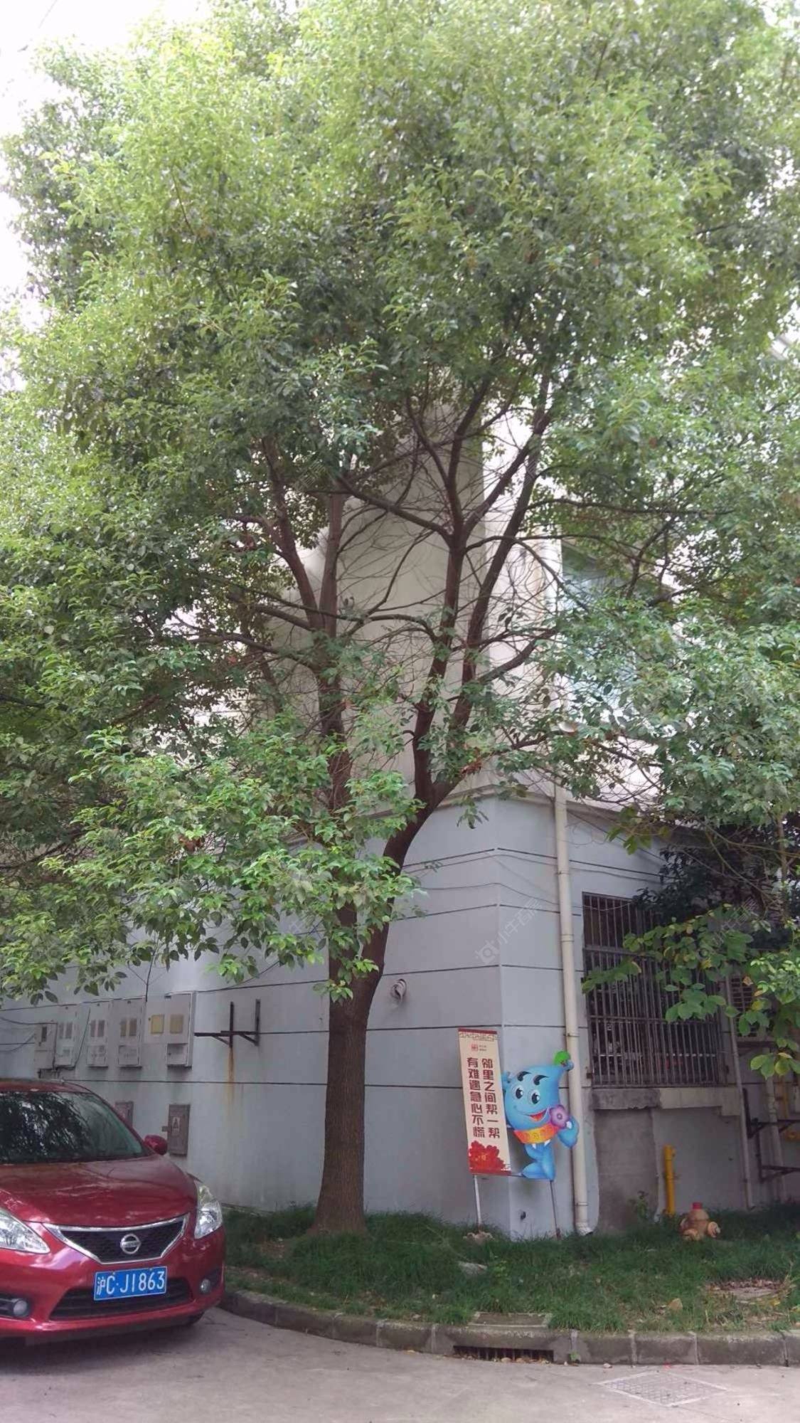 上海金汇广场二期小区_小牛看房