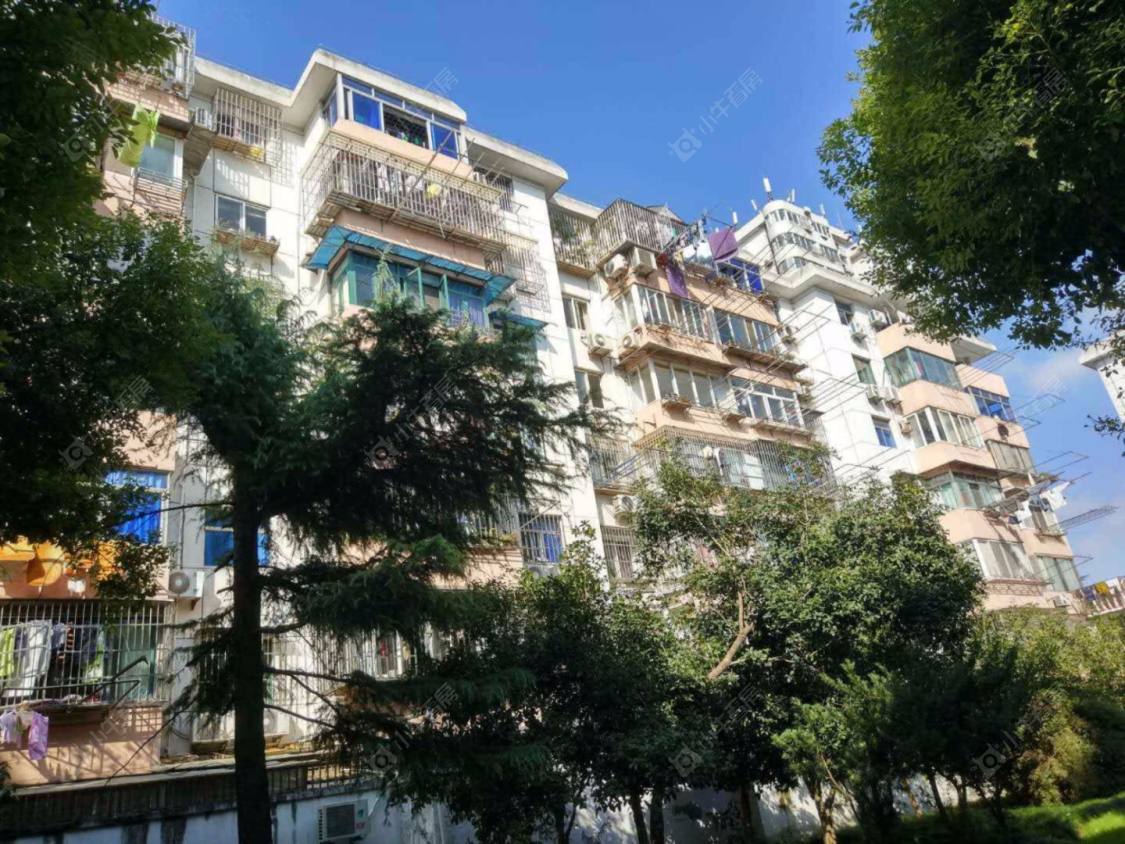 上海莲溪一村小区_莲溪一村小区null