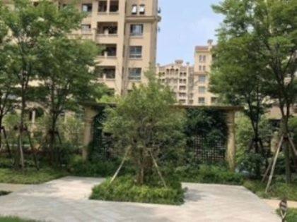 上海金上海生活广场小区_金上海生活广场小区null