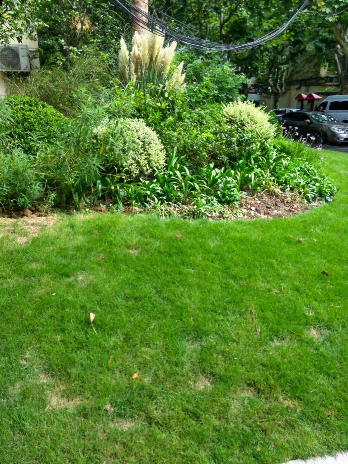 上海复兴西路317弄小区_复兴西路317弄小区null