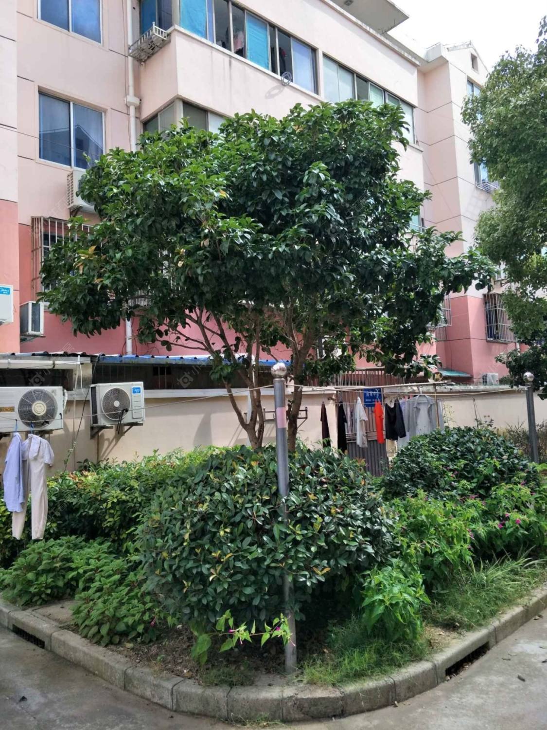 上海东翔路80弄小区_东翔路80弄小区null