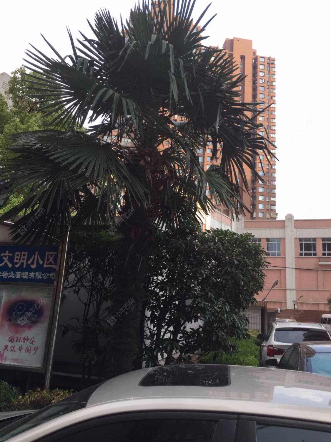 上海长城苑小区_长城苑小区null