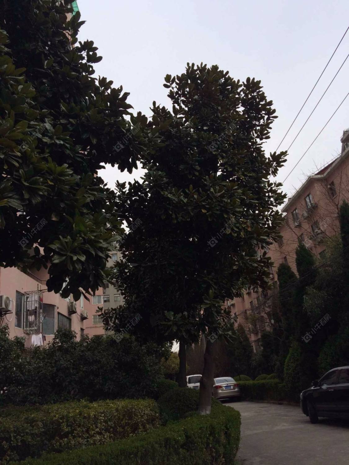 上海奥森公寓小区_奥森公寓小区实景图