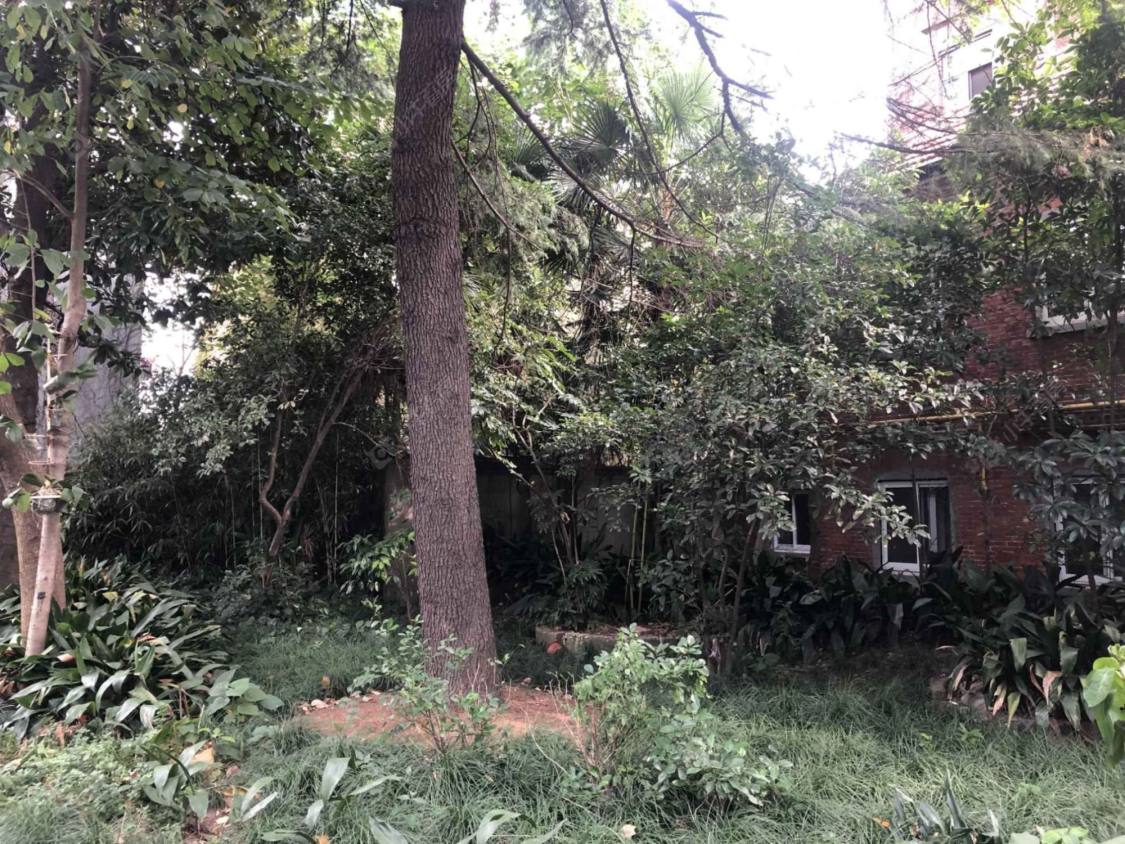 上海淮海中路1390弄小区_淮海中路1390弄小区null