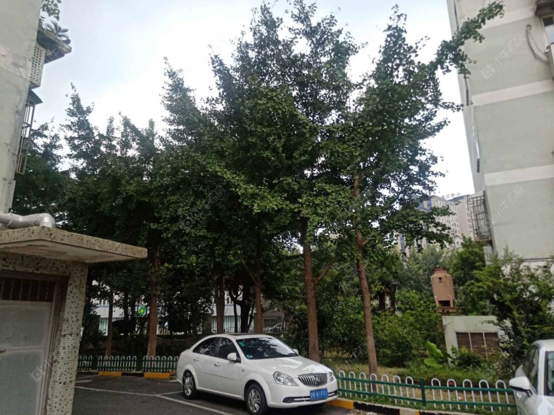 上海金国大厦小区_金国大厦小区null