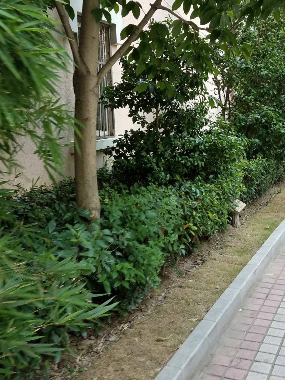 上海云福大厦小区_云福大厦小区null