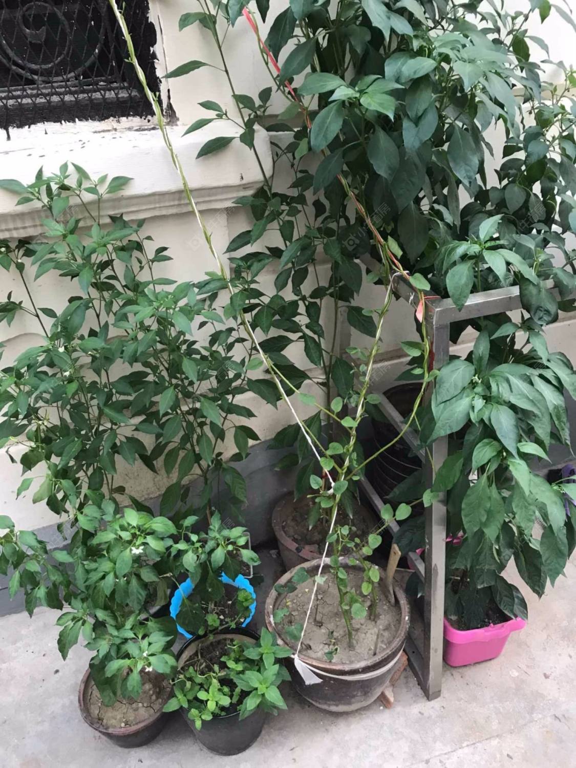 上海康定路367弄小区_康定路367弄小区实景图