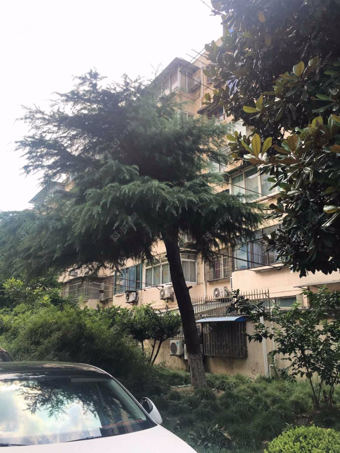 上海同泰北路401弄小区_同泰北路401弄小区null